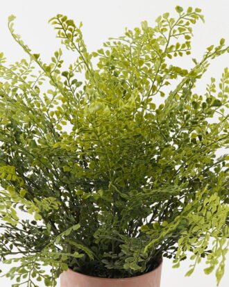 Artificial Plant 80*80*58cm Fern leaf in PP pot GS-48123005CONTI 2024Jan YeahFlower is one of Chinese leading OEM manufacturers and exporters , supplying the silk flowers, wholesale artificial trees
