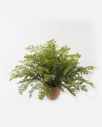 Artificial Plant 85*85*58cm Fern leaf in PP pot GS-48123006CONTI 2024Jan YeahFlower is one of Chinese leading OEM manufacturers and exporters , supplying the silk flowers, wholesale artificial trees