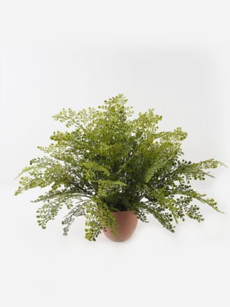 Artificial Plant 80*80*58cm Fern leaf in PP pot GS-48123005CONTI Potted Flowers&Plants 3,000+ sqm showroom with thousands of artificial flowers, plants & trees ready for global sourcing.