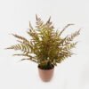 Artificial Plant 55*55*58cm Fern leaf in PP pot GS-48123007CONTI 2024Jan YeahFlower is one of Chinese leading OEM manufacturers and exporters , supplying the silk flowers, wholesale artificial trees