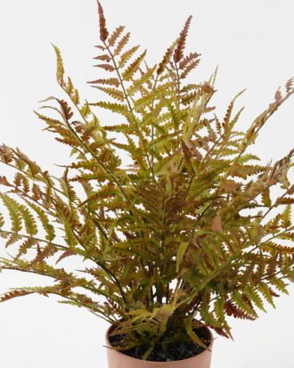 Artificial Plant 55*55*58cm Fern leaf in PP pot GS-48123007CONTI 2024Jan YeahFlower is one of Chinese leading OEM manufacturers and exporters , supplying the silk flowers, wholesale artificial trees
