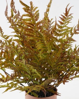 Artificial Plant 80*80*58cm Fern leaf in PP pot GS-48123008CONTI 2024Jan YeahFlower is one of Chinese leading OEM manufacturers and exporters , supplying the silk flowers, wholesale artificial trees