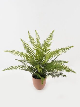 Artificial Plant 85*85*58cm Fern leaf in PP pot GS-48123009CONTI Potted Flowers&Plants 3,000+ sqm showroom with thousands of artificial flowers, plants & trees ready for global sourcing.