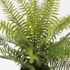 Artificial Plant 55*55*58cm Fern leaf in PP pot GS-48123010CONTI 2024Jan YeahFlower is one of Chinese leading OEM manufacturers and exporters , supplying the silk flowers, wholesale artificial trees