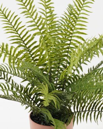 Artificial Plant 55*55*58cm Fern leaf in PP pot GS-48123010CONTI 2024Jan YeahFlower is one of Chinese leading OEM manufacturers and exporters , supplying the silk flowers, wholesale artificial trees