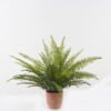 Artificial Plant 80*80*58cm Fern leaf in PP pot GS-48123011CONTI 2024Jan YeahFlower is one of Chinese leading OEM manufacturers and exporters , supplying the silk flowers, wholesale artificial trees