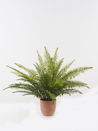 Artificial Plant 85*85*58cm Fern leaf in PP pot GS-48123012CONTI Potted Flowers&Plants 3,000+ sqm showroom with thousands of artificial flowers, plants & trees ready for global sourcing.