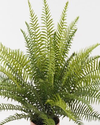Artificial Plant 80*80*58cm Fern leaf in PP pot GS-48123011CONTI 2024Jan YeahFlower is one of Chinese leading OEM manufacturers and exporters , supplying the silk flowers, wholesale artificial trees