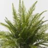 Artificial Plant 85*85*58cm Fern leaf in PP pot GS-48123012CONTI 2024Jan YeahFlower is one of Chinese leading OEM manufacturers and exporters , supplying the silk flowers, wholesale artificial trees