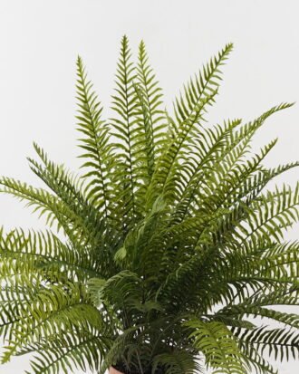 Artificial Plant 85*85*58cm Fern leaf in PP pot GS-48123012CONTI 2024Jan YeahFlower is one of Chinese leading OEM manufacturers and exporters , supplying the silk flowers, wholesale artificial trees
