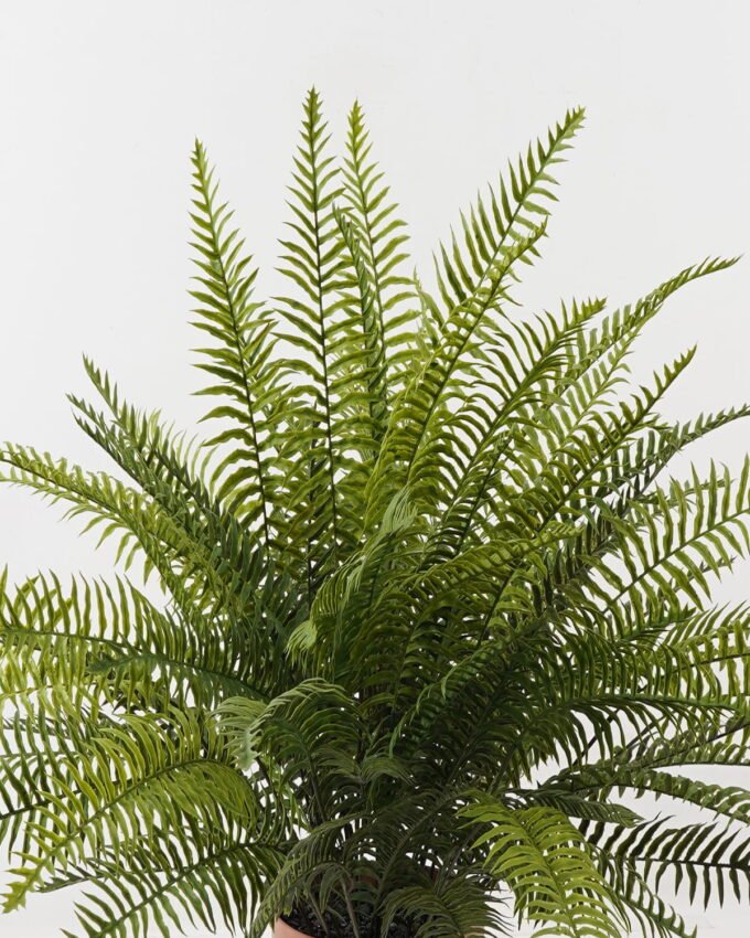 Artificial Plant 85*85*58cm Fern leaf in PP pot GS-48123012CONTI 2024Jan YeahFlower is one of Chinese leading OEM manufacturers and exporters , supplying the silk flowers, wholesale artificial trees