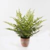 Artificial Plant 55*55*58cm Fern leaf in PP pot GS-48123013CONTI 2024Jan YeahFlower is one of Chinese leading OEM manufacturers and exporters , supplying the silk flowers, wholesale artificial trees