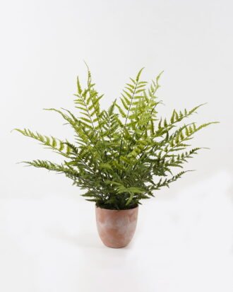 Artificial Plant 55*55*58cm Fern leaf in PP pot GS-48123013CONTI