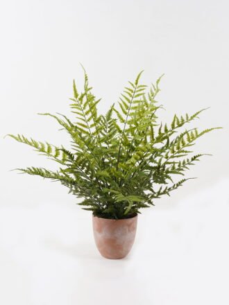 Artificial Plant 80*80*58cm Fern leaf in PP pot GS-48123014CONTI Potted Flowers&Plants 3,000+ sqm showroom with thousands of artificial flowers, plants & trees ready for global sourcing.