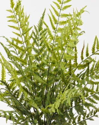 Artificial Plant 55*55*58cm Fern leaf in PP pot GS-48123013CONTI 2024Jan YeahFlower is one of Chinese leading OEM manufacturers and exporters , supplying the silk flowers, wholesale artificial trees