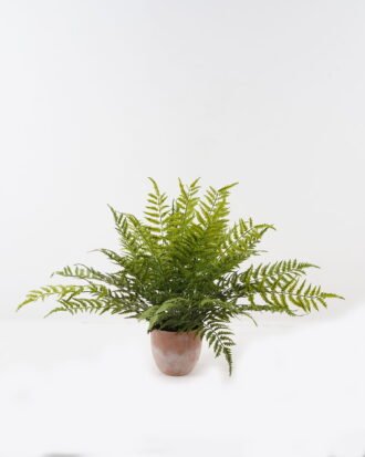 Artificial Plant 80*80*58cm Fern leaf in PP pot GS-48123014CONTI 2024Jan YeahFlower is one of Chinese leading OEM manufacturers and exporters , supplying the silk flowers, wholesale artificial trees