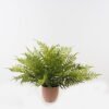Artificial Plant 85*85*58cm Fern leaf in PP pot GS-48123015CONTI 2024Jan YeahFlower is one of Chinese leading OEM manufacturers and exporters , supplying the silk flowers, wholesale artificial trees