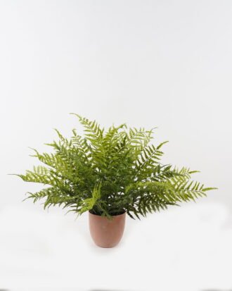 Artificial Plant 85*85*58cm Fern leaf in PP pot GS-48123015CONTI 2024Jan YeahFlower is one of Chinese leading OEM manufacturers and exporters , supplying the silk flowers, wholesale artificial trees