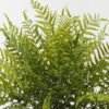 Artificial Plant 85*85*58cm Fern leaf in PP pot GS-48123015CONTI 2024Jan YeahFlower is one of Chinese leading OEM manufacturers and exporters , supplying the silk flowers, wholesale artificial trees