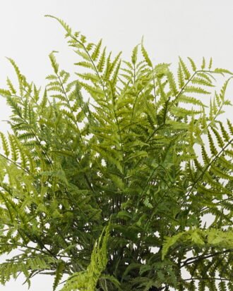 Artificial Plant 85*85*58cm Fern leaf in PP pot GS-48123015CONTI 2024Jan YeahFlower is one of Chinese leading OEM manufacturers and exporters , supplying the silk flowers, wholesale artificial trees