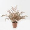 Artificial Plant 55*55*58cm Fern leaf in PP pot GS-48123018CONTI 2024Jan YeahFlower is one of Chinese leading OEM manufacturers and exporters , supplying the silk flowers, wholesale artificial trees