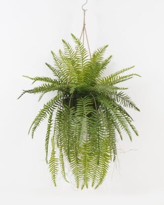 Artificial Plant 50*50*101cm Fern leaf in PP pot GS-48123020CONTI 2024Jan YeahFlower is one of Chinese leading OEM manufacturers and exporters , supplying the silk flowers, wholesale artificial trees