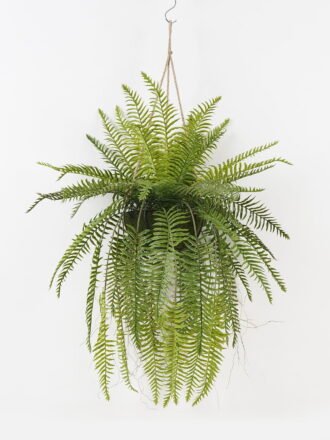 Artificial Plant 50*50*101cm Fern leaf in PP pot GS-48123021CONTI Potted Flowers&Plants 3,000+ sqm showroom with thousands of artificial flowers, plants & trees ready for global sourcing.