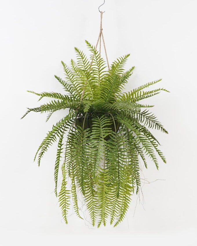 Artificial Plant Fern leaf in PP pot GS-48123020CONTI_4 Artificial Plant 50*50*101cm Fern leaf in PP pot GS-48123020CONTI 2024Jan YeahFlower is one of Chinese leading OEM manufacturers and exporters , supplying the silk flowers, wholesale artificial trees
