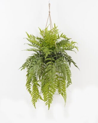 Artificial Plant 50*50*101cm Fern leaf in PP pot GS-48123021CONTI 2024Jan YeahFlower is one of Chinese leading OEM manufacturers and exporters , supplying the silk flowers, wholesale artificial trees