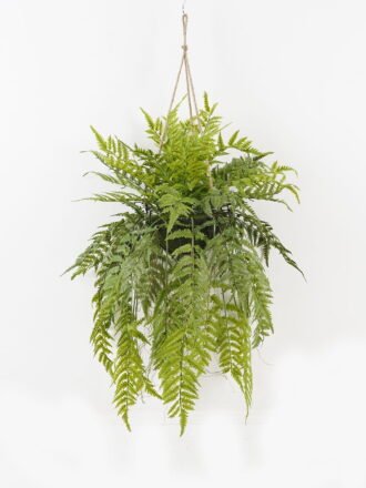 Artificial Plant 50*50*101cm Fern leaf in PP pot GS-48123020CONTI Potted Flowers&Plants 3,000+ sqm showroom with thousands of artificial flowers, plants & trees ready for global sourcing.
