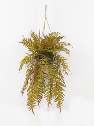 Artificial Plant 50*50*101cm Fern leaf in PP pot GS-48123021CONTI Potted Flowers&Plants 3,000+ sqm showroom with thousands of artificial flowers, plants & trees ready for global sourcing.
