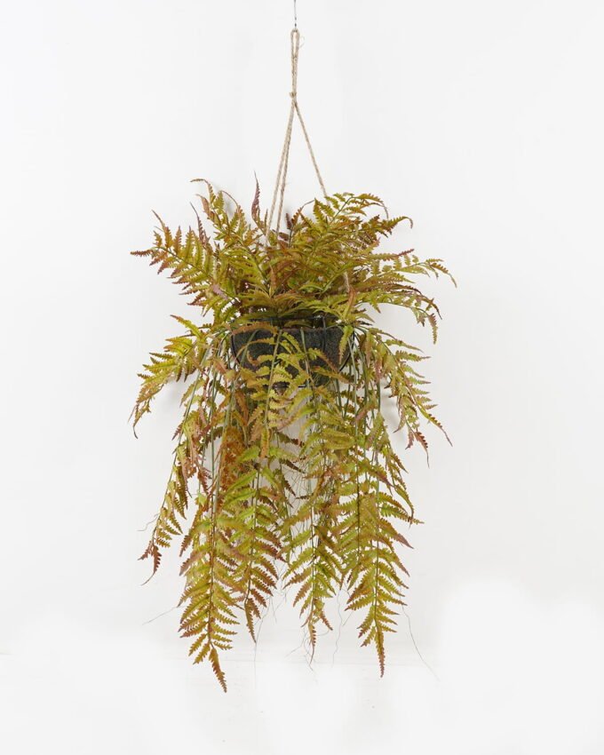 Artificial Plant 50*50*101cm Fern leaf in PP pot GS-48123022CONTI 2024Jan YeahFlower is one of Chinese leading OEM manufacturers and exporters , supplying the silk flowers, wholesale artificial trees