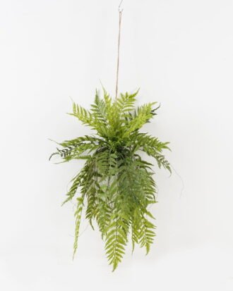 Artificial Plant 45*45*99cm Fern leaf in PP pot GS-48123026CONTI 2024Jan YeahFlower is one of Chinese leading OEM manufacturers and exporters , supplying the silk flowers, wholesale artificial trees