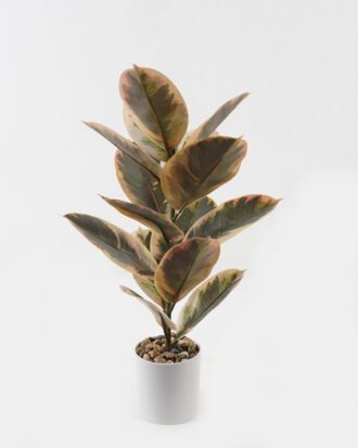 Artificial Plant 35*35*55cm Ficus elastica in pp pot/15 Ivs GS-72823002-G1 2024Jan YeahFlower is one of Chinese leading OEM manufacturers and exporters , supplying the silk flowers, wholesale artificial trees
