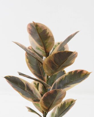 Artificial Plant 35*35*55cm Ficus elastica in pp pot/15 Ivs GS-72823002-G1 2024Jan YeahFlower is one of Chinese leading OEM manufacturers and exporters , supplying the silk flowers, wholesale artificial trees