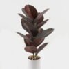 Artificial Plant 35*35*55cm Ficus elastica in pp pot/15 Ivs GS-72823002-G3 2024Jan YeahFlower is one of Chinese leading OEM manufacturers and exporters , supplying the silk flowers, wholesale artificial trees