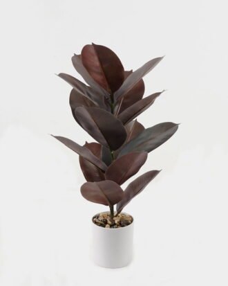 Artificial Plant 35*35*55cm Ficus elastica in pp pot/15 Ivs GS-72823002-G3 2024Jan YeahFlower is one of Chinese leading OEM manufacturers and exporters , supplying the silk flowers, wholesale artificial trees