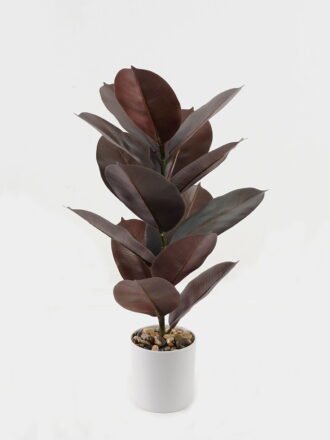 Artificial Plant 35*35*55cm Ficus elastica in pp pot/15 Ivs GS-72823002-G1 Potted Flowers&Plants 3,000+ sqm showroom with thousands of artificial flowers, plants & trees ready for global sourcing.
