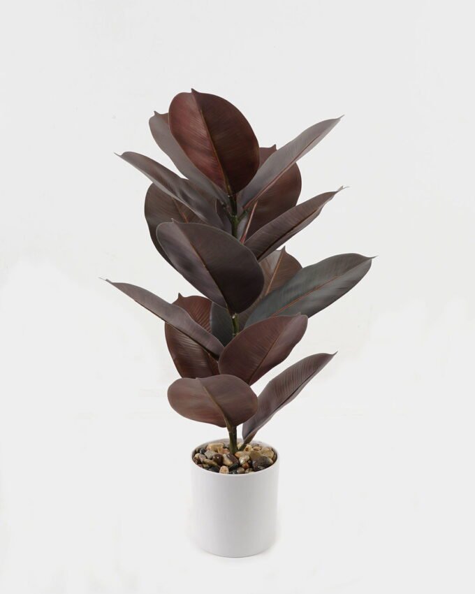 Artificial Plant 35*35*55cm Ficus elastica in pp pot/15 Ivs GS-72823002-G3 2024Jan YeahFlower is one of Chinese leading OEM manufacturers and exporters , supplying the silk flowers, wholesale artificial trees