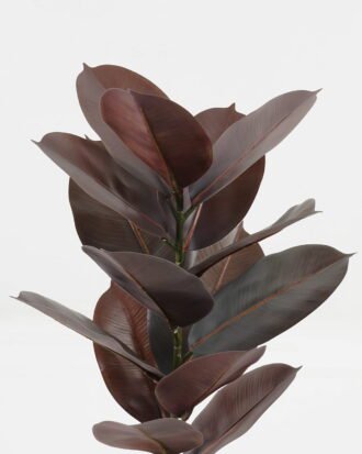 Artificial Plant 35*35*55cm Ficus elastica in pp pot/15 Ivs GS-72823002-G3 2024Jan YeahFlower is one of Chinese leading OEM manufacturers and exporters , supplying the silk flowers, wholesale artificial trees