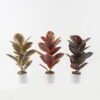 Artificial Plant 35*35*55cm Ficus elastica in pp pot/15 Ivs GS-72823002 2024Jan YeahFlower is one of Chinese leading OEM manufacturers and exporters , supplying the silk flowers, wholesale artificial trees