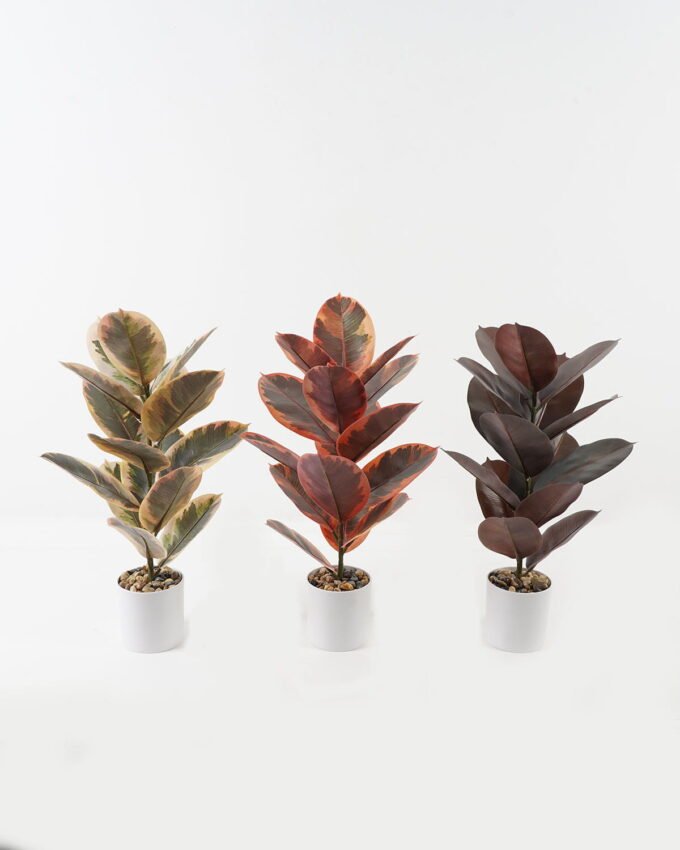 Artificial Plant 35*35*55cm Ficus elastica in pp pot/15 Ivs GS-72823002 2024Jan YeahFlower is one of Chinese leading OEM manufacturers and exporters , supplying the silk flowers, wholesale artificial trees