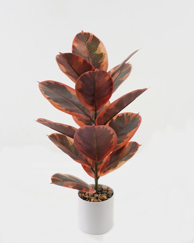 Artificial Plant 35*35*55cm Ficus elastica in pp pot/15 Ivs GS-72823002 2024Jan YeahFlower is one of Chinese leading OEM manufacturers and exporters , supplying the silk flowers, wholesale artificial trees