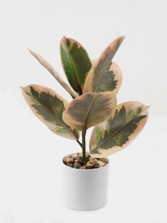 Artificial Plant 24*24*35cm Ficus elastica in pp pot/7 Ivs GS-72823001 Potted Flowers&Plants 3,000+ sqm showroom with thousands of artificial flowers, plants & trees ready for global sourcing.