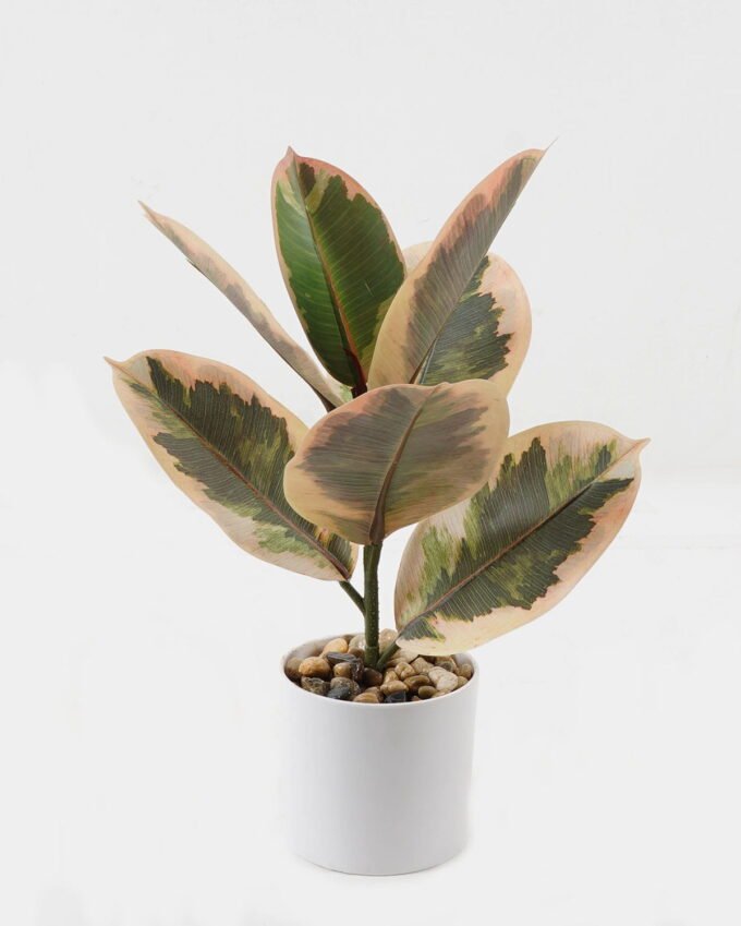 Artificial Plant 24*24*35cm Ficus elastica in pp pot/7 Ivs GS-72823001-G1 2024Jan YeahFlower is one of Chinese leading OEM manufacturers and exporters , supplying the silk flowers, wholesale artificial trees