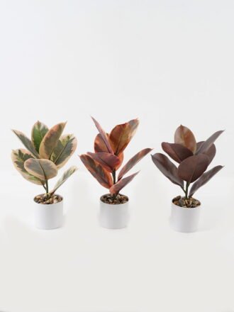 Artificial Plant 24*24*35cm Ficus elastica in pp pot/7 Ivs GS-72823001-G1 Potted Flowers&Plants 3,000+ sqm showroom with thousands of artificial flowers, plants & trees ready for global sourcing.