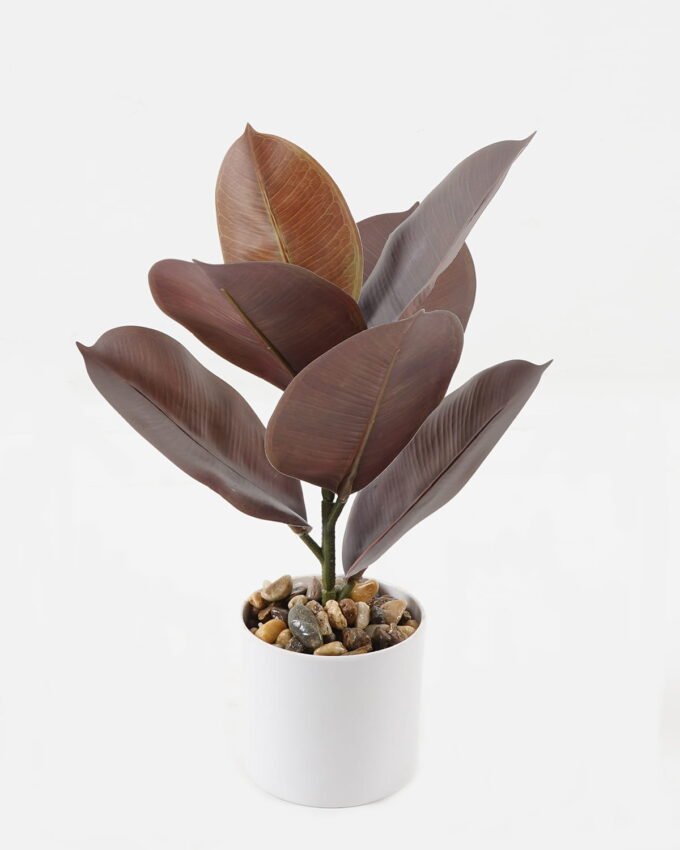 Artificial Plant 24*24*35cm Ficus elastica in pp pot/7 Ivs GS-72823001 2024Jan YeahFlower is one of Chinese leading OEM manufacturers and exporters , supplying the silk flowers, wholesale artificial trees