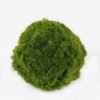 Artificial Plant 12*12cm Grass ball GS-34023015 2024Jan YeahFlower is one of Chinese leading OEM manufacturers and exporters , supplying the silk flowers, wholesale artificial trees