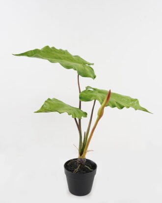 Artificial Plant 60*70*70cm Leaf in  PP pot GS-72923001 2024Jan YeahFlower is one of Chinese leading OEM manufacturers and exporters , supplying the silk flowers, wholesale artificial trees