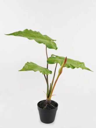 Artificial Plant 35*35*55cm Ficus elastica in pp pot/15 Ivs GS-72823002-G3 Potted Flowers&Plants 3,000+ sqm showroom with thousands of artificial flowers, plants & trees ready for global sourcing.